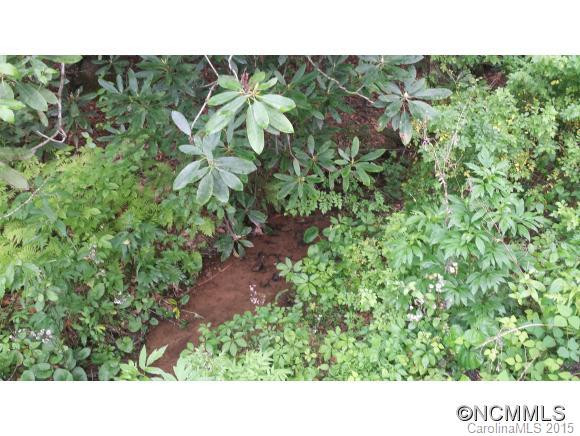 662 Lower Haw Branch Road - Photo 17