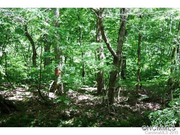 4159 Green River Cove Road - Photo 18