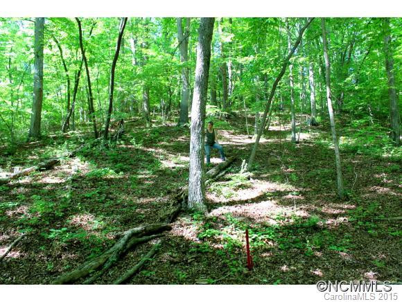 197 Chimney Rock Road - Photo 23