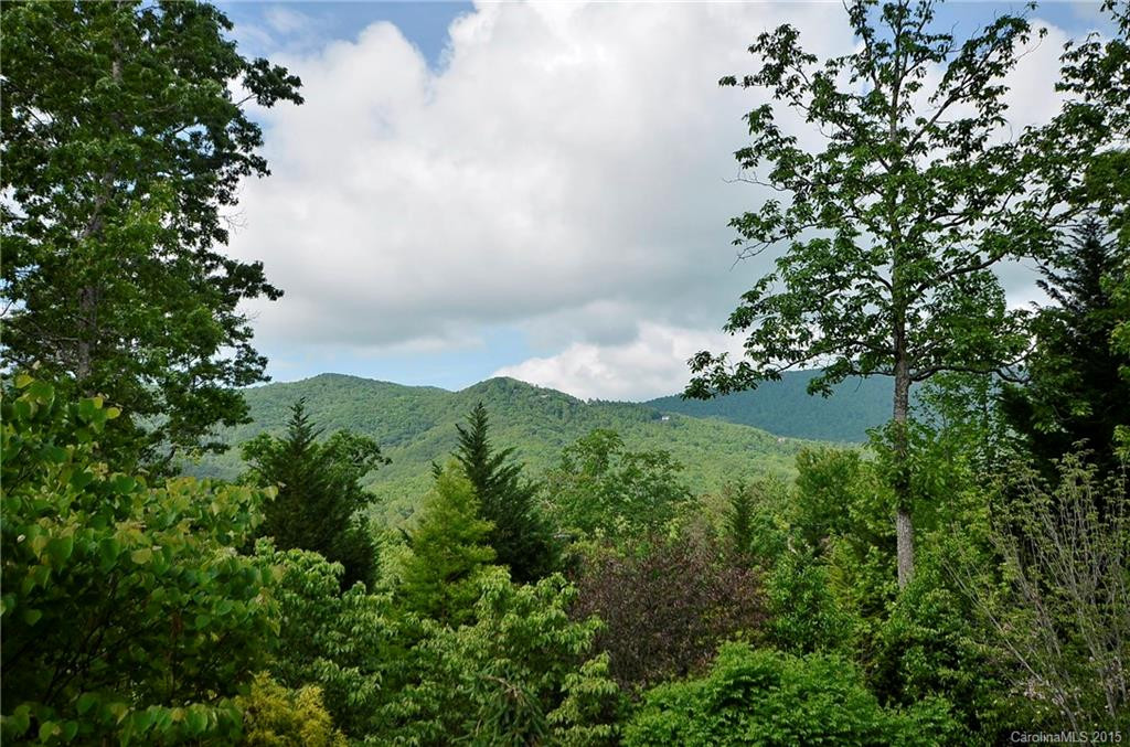 1924 Tree View Trail #Lot 164 - Photo 16