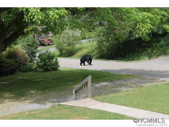 73 Bull Mountain Rd. - Photo 19