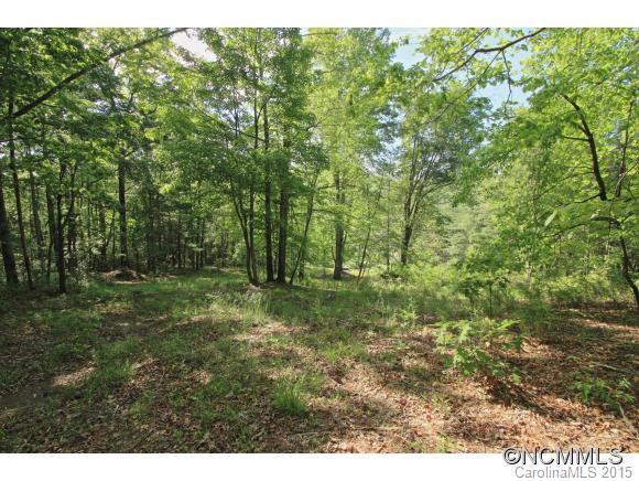 1868 Rosman Highway - Photo 16
