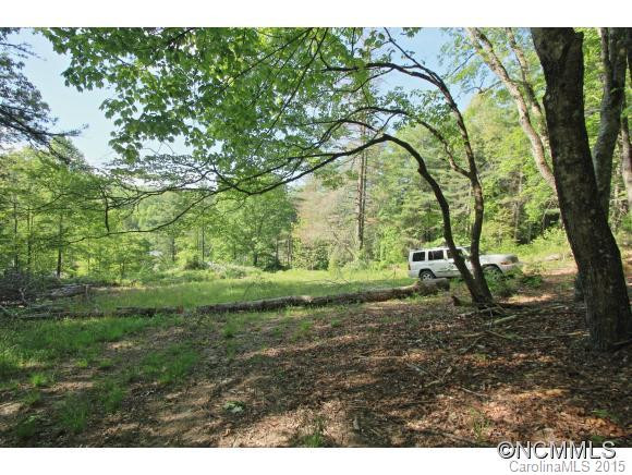 1868 Rosman Highway - Photo 23