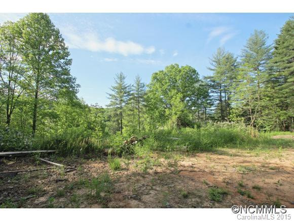 1868 Rosman Highway - Photo 24