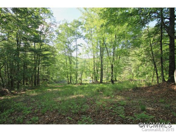 1868 Rosman Highway - Photo 7