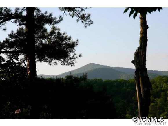 209 Springhouse Trail - Photo 23