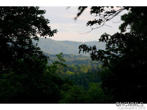 209 Springhouse Trail - Photo 24