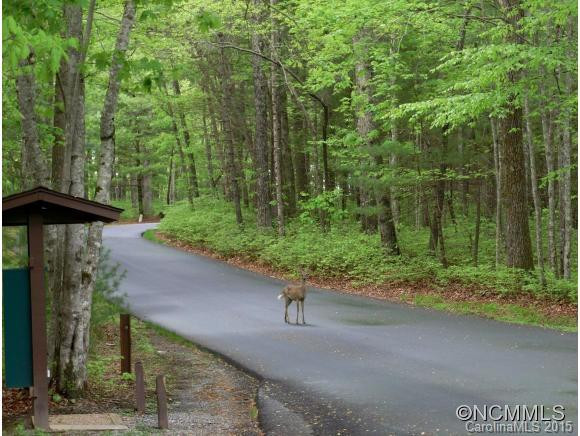 667 Cardinal Road - Photo 22