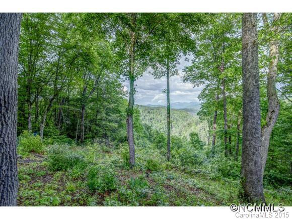 82 Whistle Ridge - Photo 4