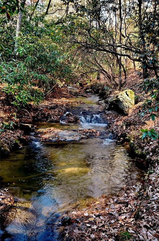 2 Running Creek Trail - Photo 24