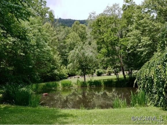 919 LONG BRANCH ROAD - Photo 2