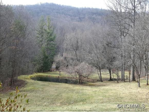 919 LONG BRANCH ROAD - Photo 19