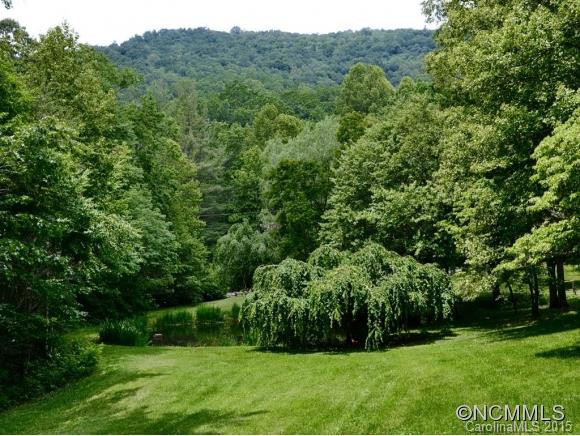 919 LONG BRANCH ROAD - Photo 3