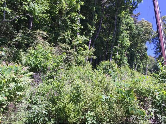 139 Cowan Cove Road - Photo 19