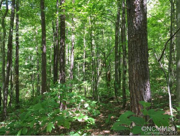 139 Cowan Cove Road - Photo 20