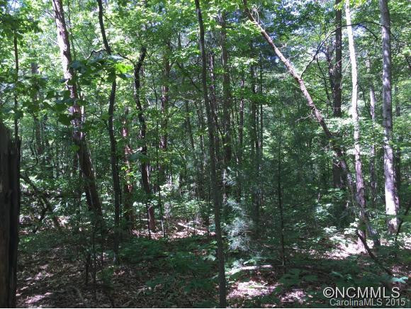 139 Cowan Cove Road - Photo 22