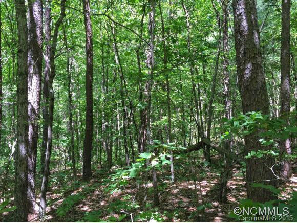 139 Cowan Cove Road - Photo 23