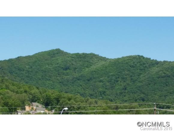 70 Old Bee Tree Road - Photo 3