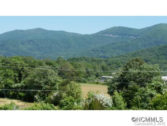70 Old Bee Tree Road - Photo 4