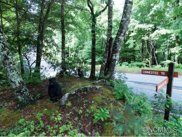 1799 Connestee Trail - Photo 19