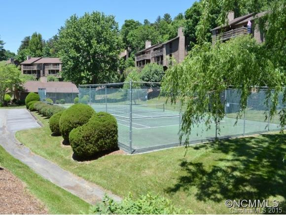 305 PINEY MOUNTAIN DRIVE R1 - Photo 23