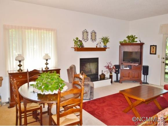305 PINEY MOUNTAIN DRIVE R1 - Photo 10