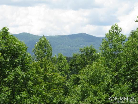 2437 Hunting Country Road - Photo 2