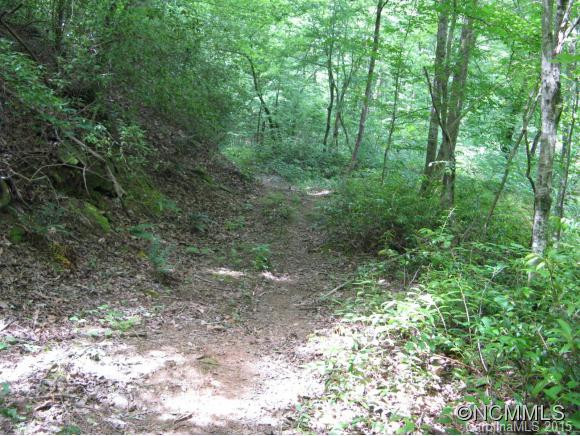 2437 Hunting Country Road - Photo 8