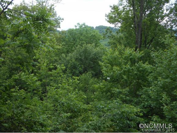 244 Lightning Bug Lane - Photo 16
