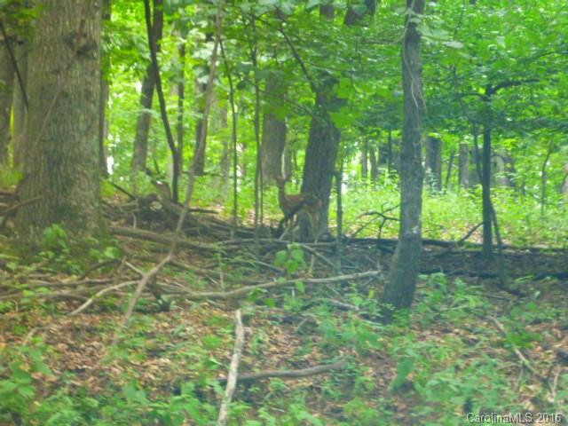 571 ARROWHEAD TRAIL #29 - Photo 21