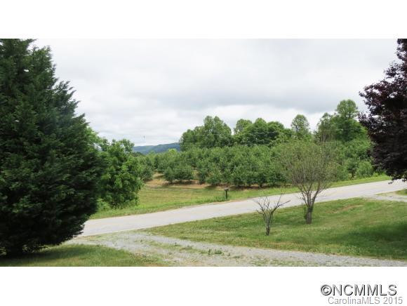 827 Deep Gap Loop Road - Photo 4