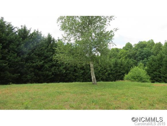 827 Deep Gap Loop Road - Photo 5