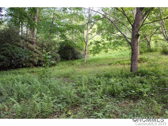 41 Rush Branch Road - Photo 19
