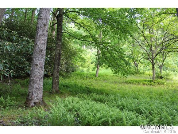 41 Rush Branch Road - Photo 10