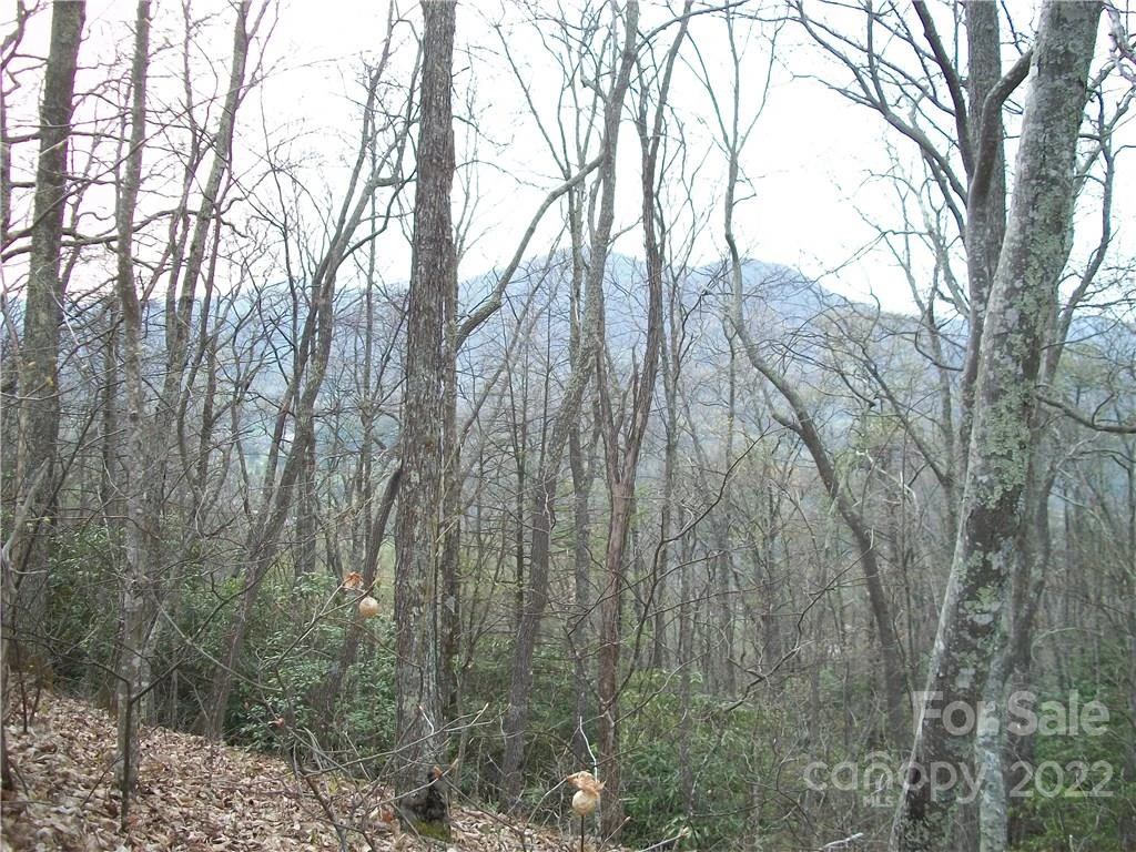 0 Anglers Ridge Road #B1, B2,B3,B4 - Photo 2