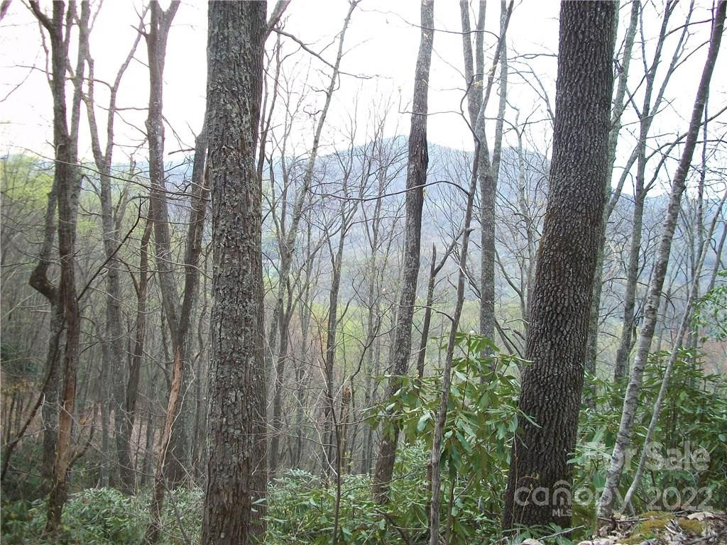 0 Anglers Ridge Road #B1, B2,B3,B4 - Photo 11