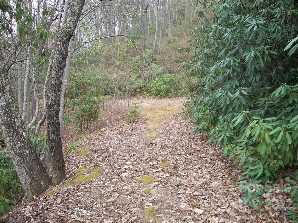 0 Anglers Ridge Road #B1, B2,B3,B4 - Photo 14