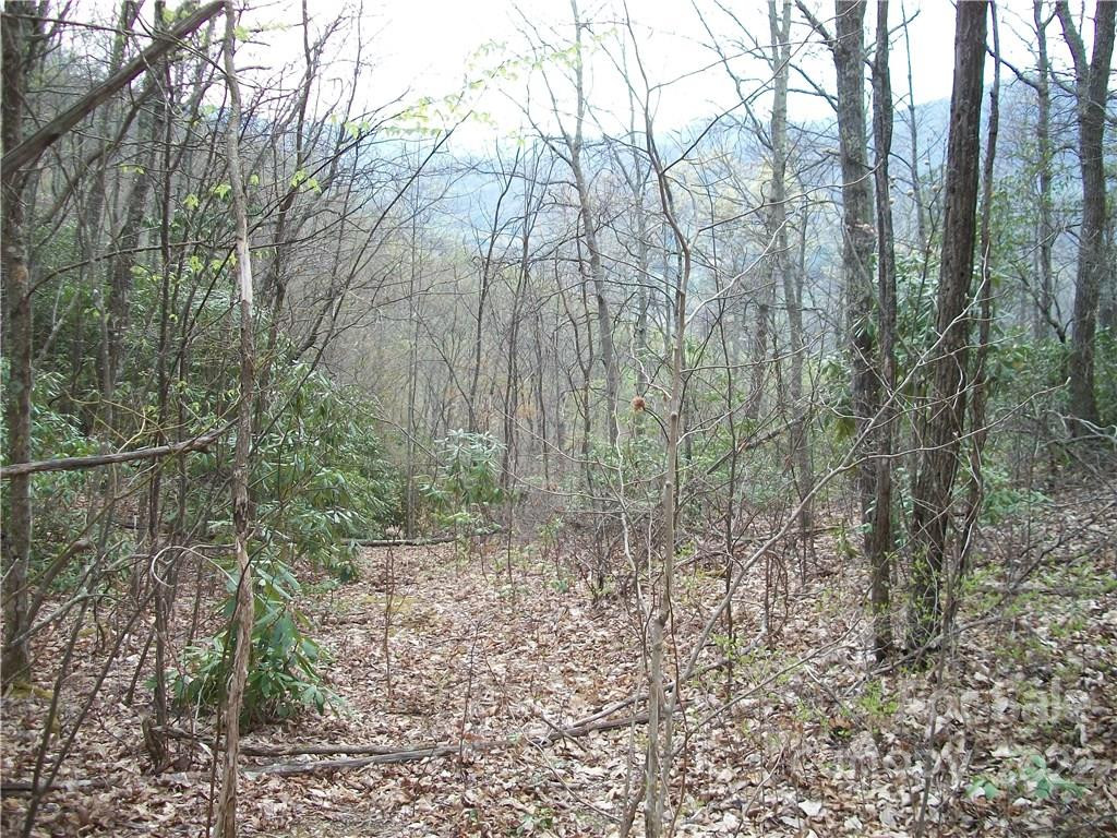 0 Anglers Ridge Road #B1, B2,B3,B4 - Photo 15