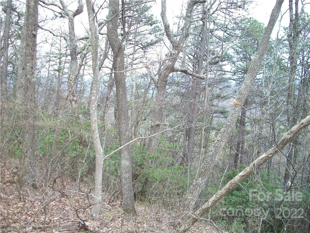 0 Anglers Ridge Road #B1, B2,B3,B4 - Photo 16