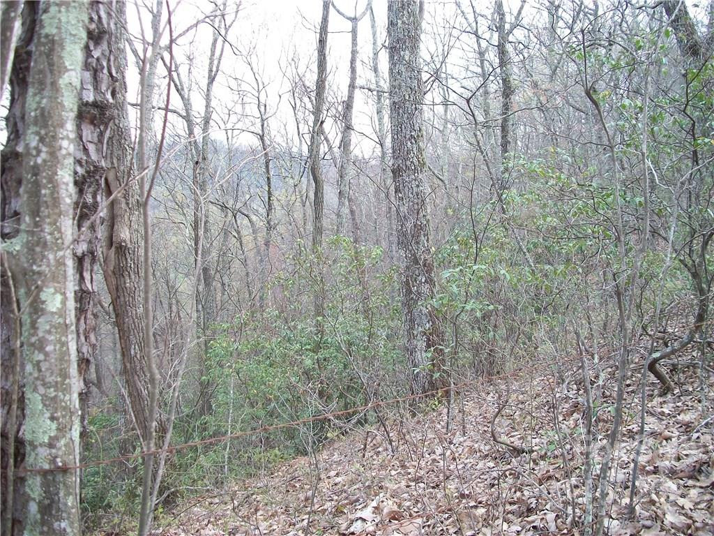 0 Anglers Ridge Road #B1, B2,B3,B4 - Photo 17