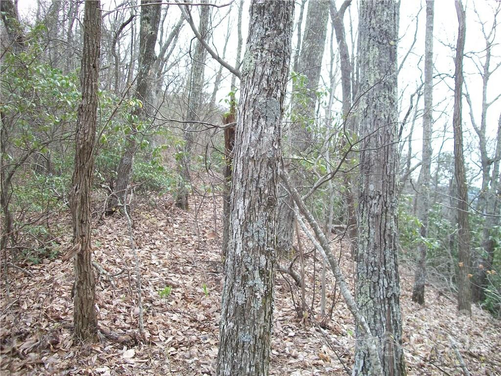 0 Anglers Ridge Road #B1, B2,B3,B4 - Photo 18