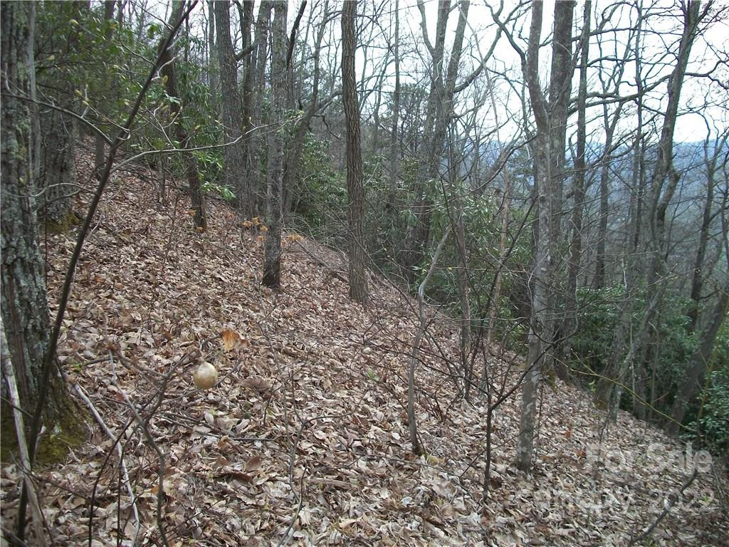 0 Anglers Ridge Road #B1, B2,B3,B4 - Photo 19