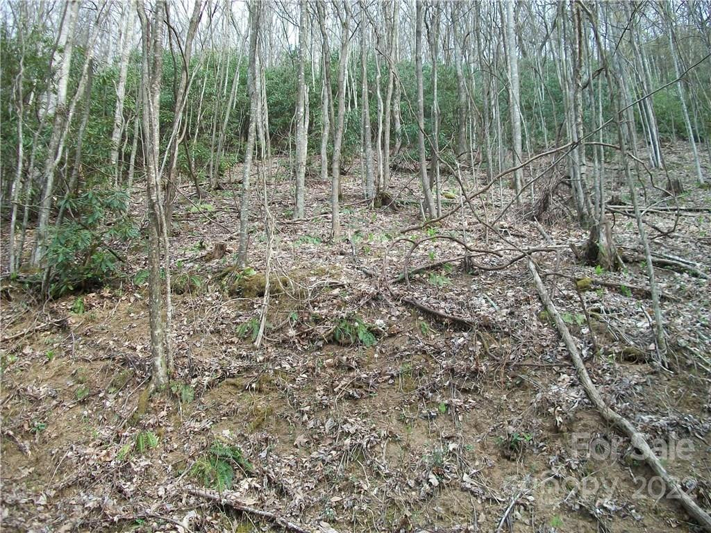 0 Anglers Ridge Road #B1, B2,B3,B4 - Photo 20