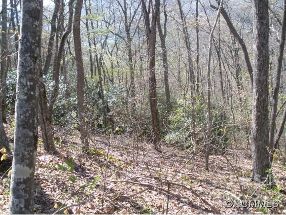 0 Anglers Ridge Road #B1, B2,B3,B4 - Photo 3