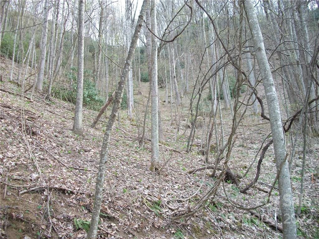 0 Anglers Ridge Road #B1, B2,B3,B4 - Photo 21