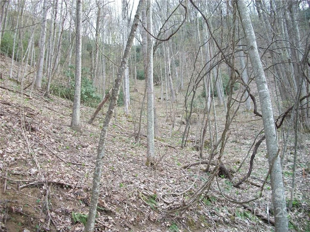 0 Anglers Ridge Road #B1, B2,B3,B4 - Photo 21