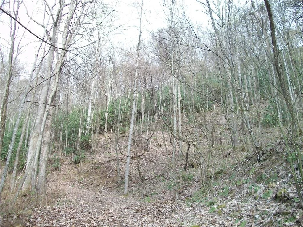 0 Anglers Ridge Road #B1, B2,B3,B4 - Photo 24