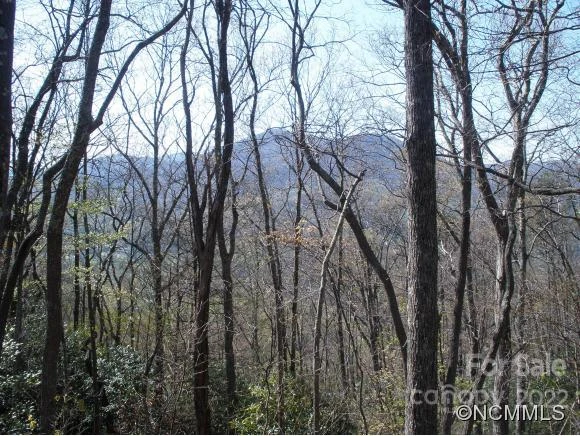 0 Anglers Ridge Road #B1, B2,B3,B4 - Photo 4