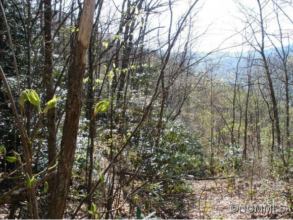 0 Anglers Ridge Road #B1, B2,B3,B4 - Photo 5