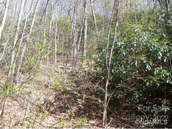 0 Anglers Ridge Road #B1, B2,B3,B4 - Photo 6